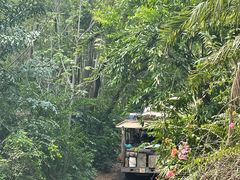 -奥兰多迪士尼动物王国乐园