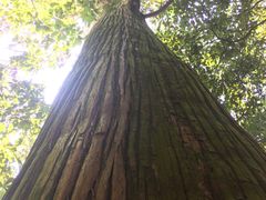 -东天目山风景区