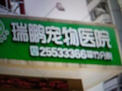 -瑞鹏宠物医院·微创内窥镜·骨外科·牙科(翠竹分院)