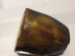烤香蕉-汉巴味德(大悦城店)