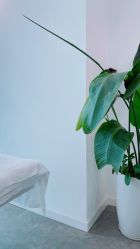 -芙芬芳·半永久纹眉