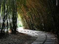 -苏州河梦清园环保主题公园