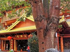 -大佛古寺