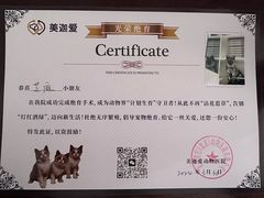 -美迦爱-牙专科·兔科·骨科诊疗中心(北苑店)