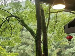 -巴倒烫陆派重庆火锅(南山店)