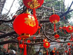 -龙华素斋(龙华路店)