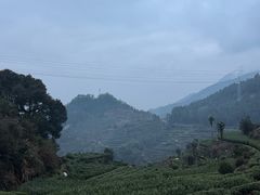 -杨家堂村
