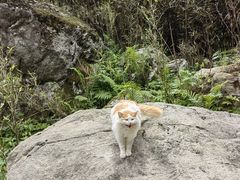 -抱龙峪