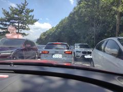 -白草畔自然风景区