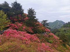 -木兰云雾山
