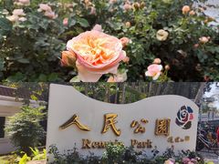 -人民公园(罗湖区)