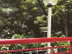 -香港大学