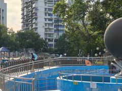 -武汉市青少年宫水上世界