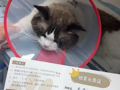 -丹景宠物医院·全科·老年病·牙科(武昌诊疗中心)