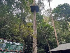 -西双版纳原始森林公园