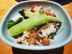 -一善菌·云南菌汤·云南菜(银泰城店)