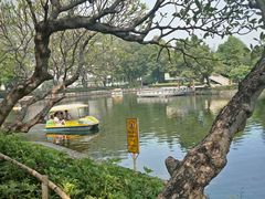 -晓港公园