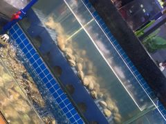 -鹿客臻鲜海鲜自助餐厅(永旺店)