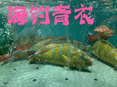 -欧记·龙城港(欣都店)