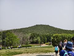 -秦始皇帝陵博物院-丽山园