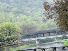 -兰亭风景区