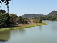 -风云岭森林公园