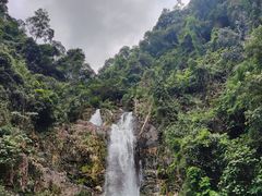 -鼎湖山风景区