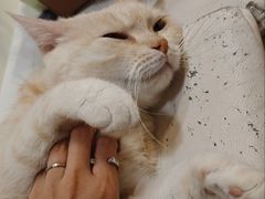 -小时光咖啡馆(北锣鼓巷店)