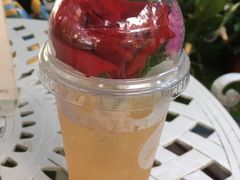 -苏小糖(鼓浪屿三丘田花园店)