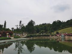-都江堰玫瑰花溪谷