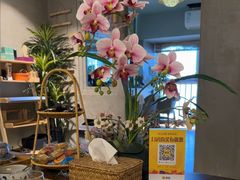 -施奈儿.洗头頭療.按摩SPA.采耳(上梅林店)