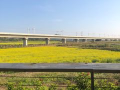 -光明小镇欢乐田园