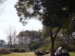 -贡湖湾湿地公园