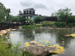 -上海鲜花港