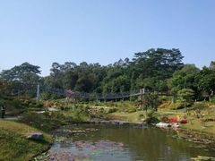 -东莞植物园