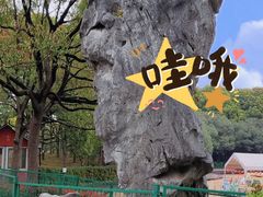 -黄兴公园