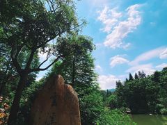 -云溪植物园