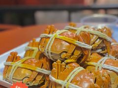 -黄记大闸蟹专卖店·活蟹·醉蟹