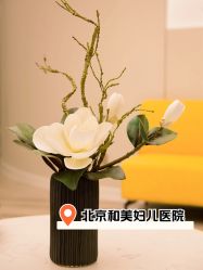 -北京和美妇儿医院
