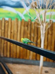 -未来动物城主题公园(正弘城店)