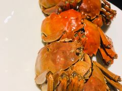 -甄御•海鲜新青岛菜(麦岛店)