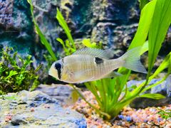 -上海海洋水族馆