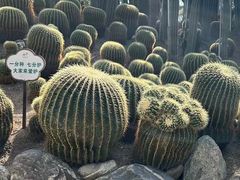 -南山植物园