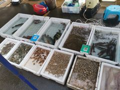 -老字号蛇口德记烧腊饭店·海鲜加工