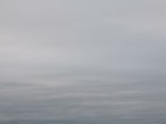 -鲜芋仙(财富中心店)