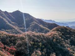 -大岭沟猕猴桃谷风景区