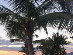 -越海渔村