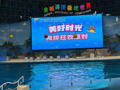 -泉城欧乐堡海洋极地世界