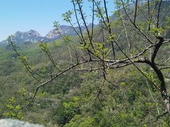 -泰山风景名胜区