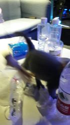 -BBVR团建聚会体验馆·亲子DIY手工